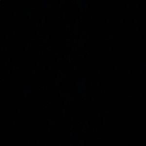 Meet your Posher, Mackynzie